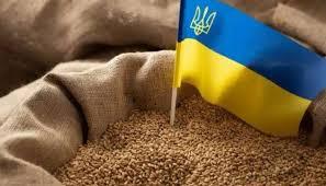 Зерновий ринок, як і усі інші, працює за принципом балансу попиту та пропозиції