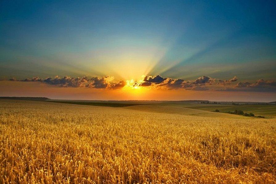 Міністерство юстиції України зафіксувало зростання кількості скарг від орендарів