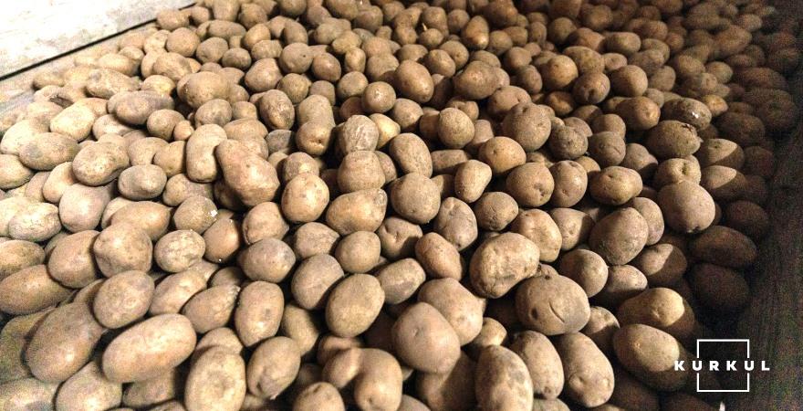 У бюджет винуватці вже заплатили 560 тис. грн у перерахунку на нашу валюту