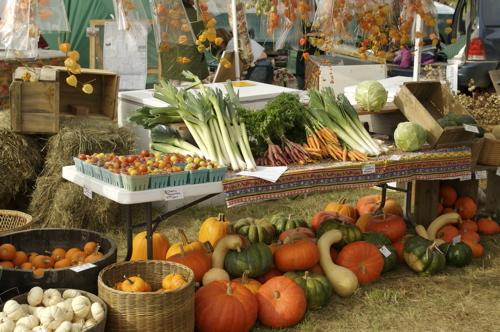 Обсяг реалізації органічної продукції зріс приблизно на 5% 