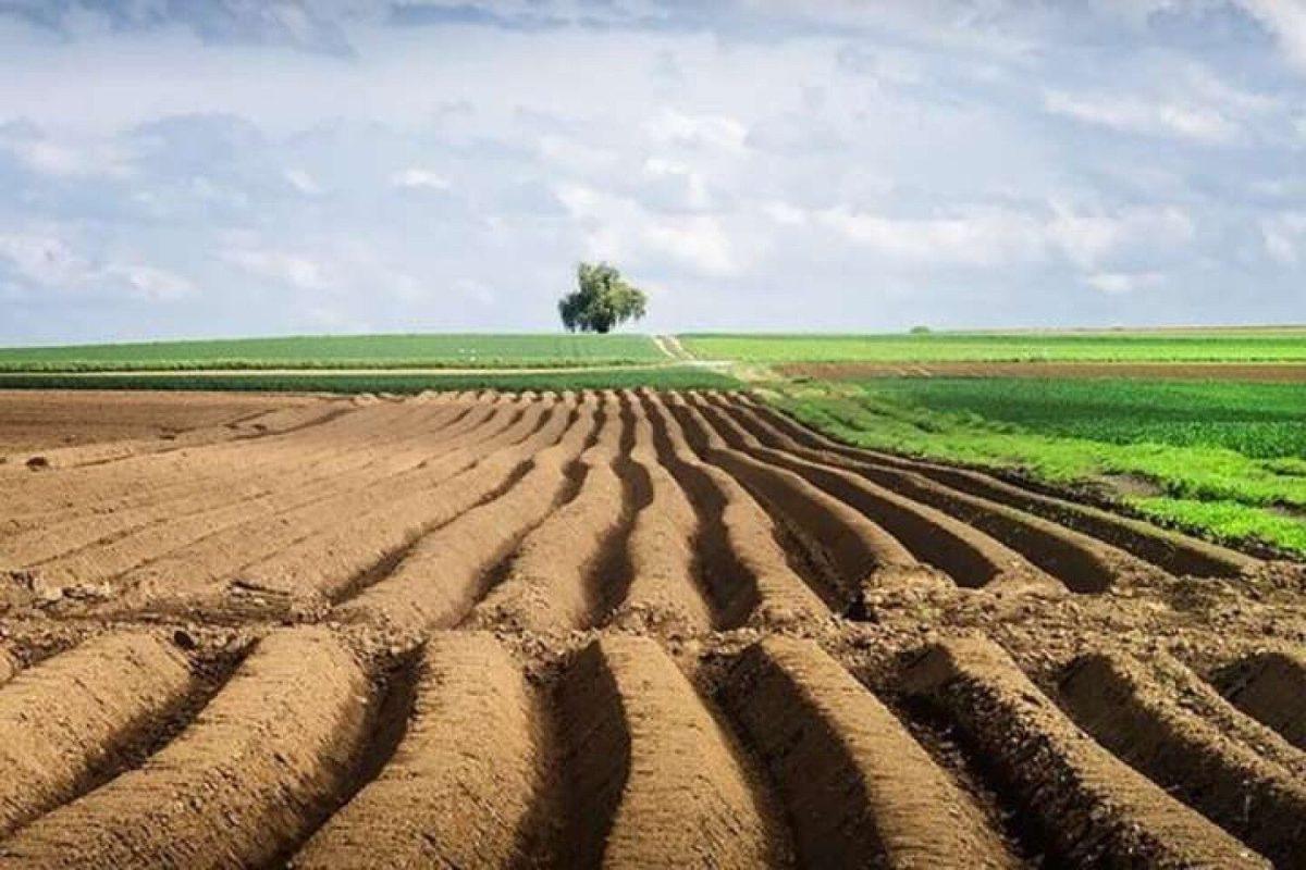 Без офіційного права власності ви не можете повноцінно розпоряджатися землею