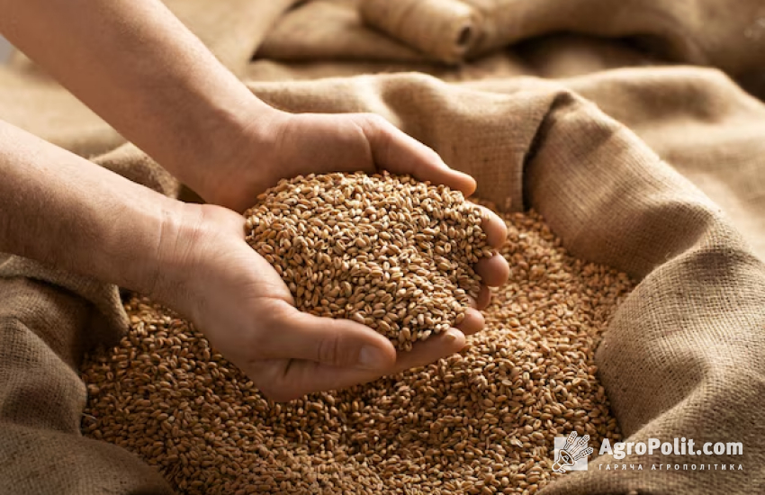 Україна скоротила обсяги продажів на зовні зернових нового врожаю 