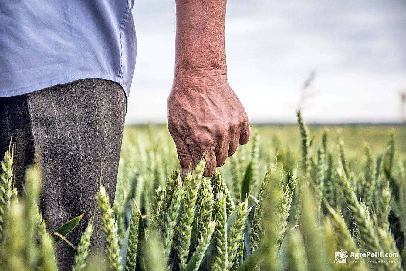 Аграрії можуть отримати субсидії в 1000 грн на 1 га у зонах бойових дій