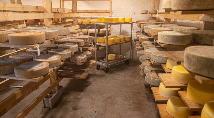 Через подорожчання сировини ціни на сир в Україні можуть піднятися
