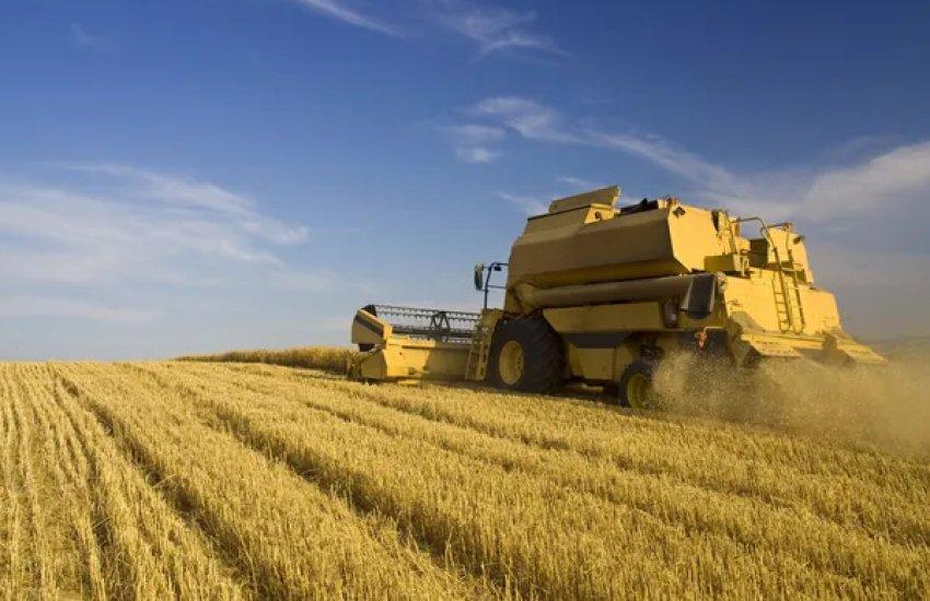За кількістю зареєстрованих агрокомпаній лідирує Київ