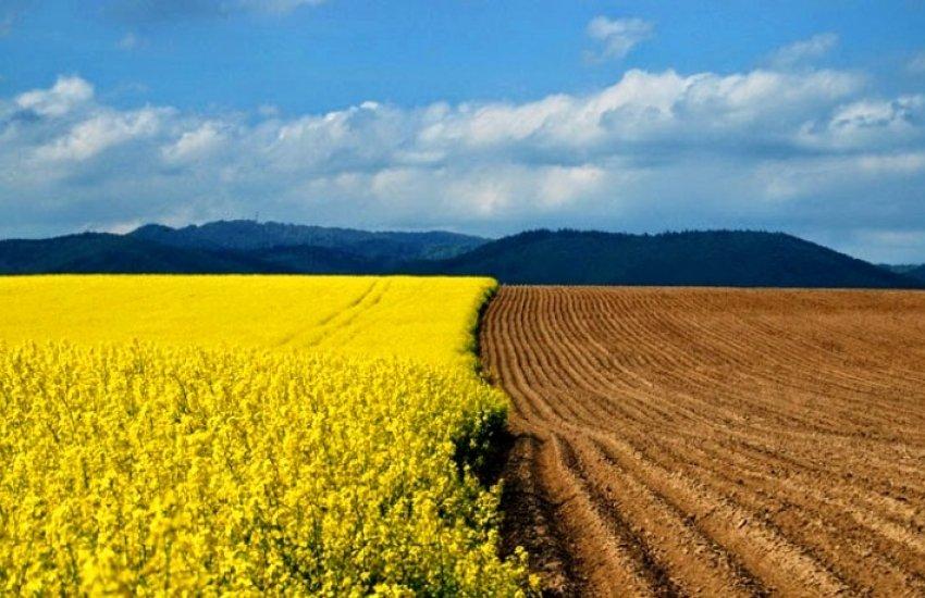Закон щодо експорту сої та ріпаку почав діяти з минулого тижня