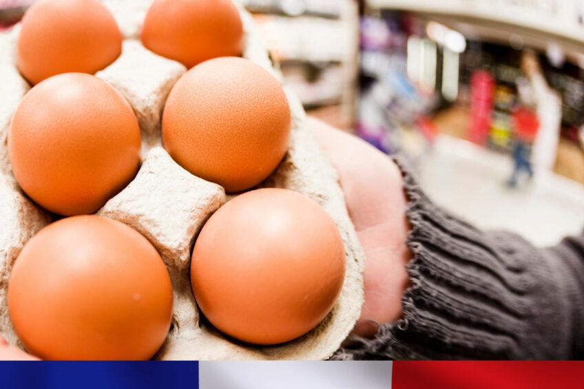 Кількість яєць, що імпортуються з України, порівняно невелика