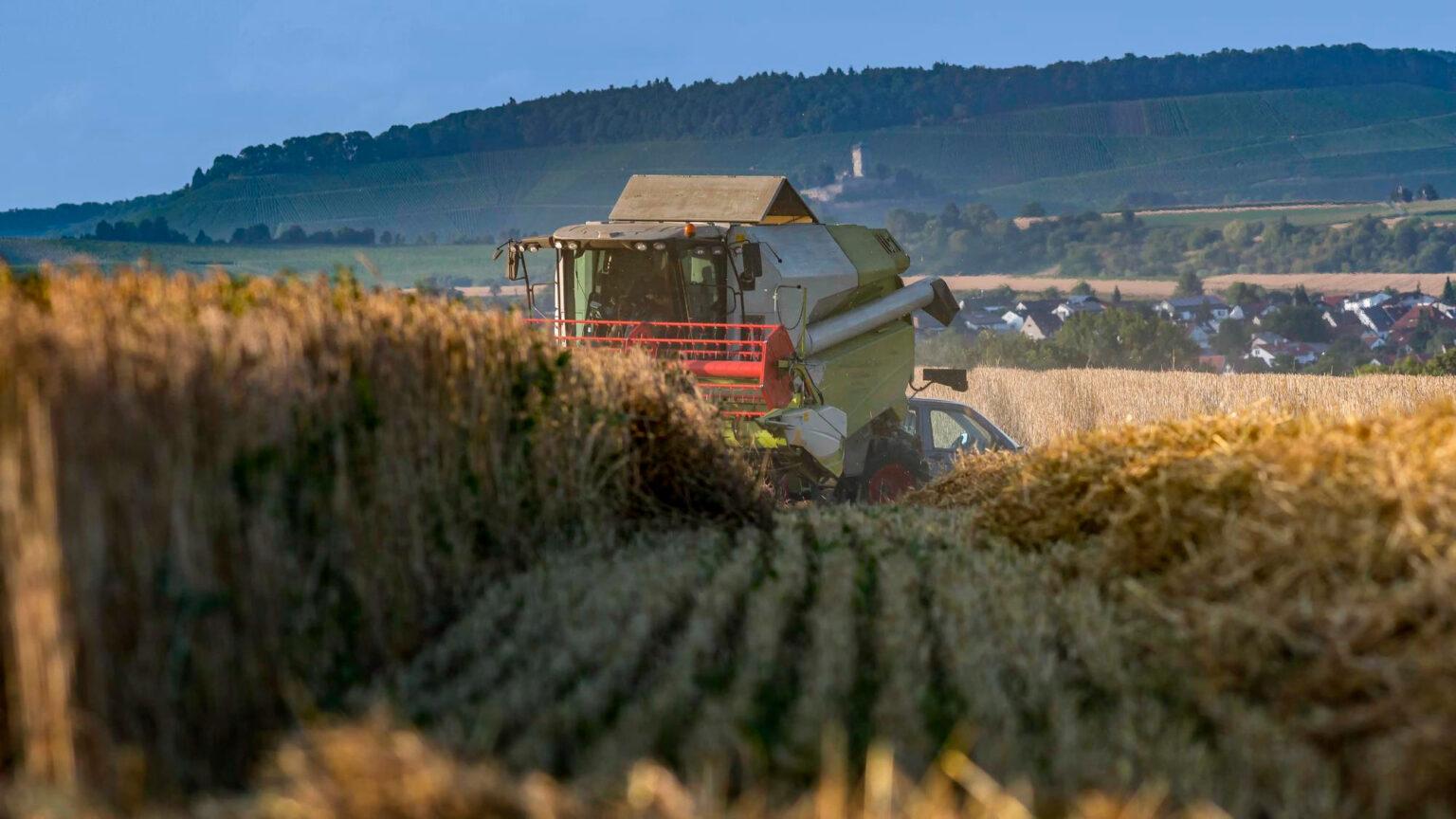 Кошти спрямують на надання продовольчої та грошової допомоги українцям