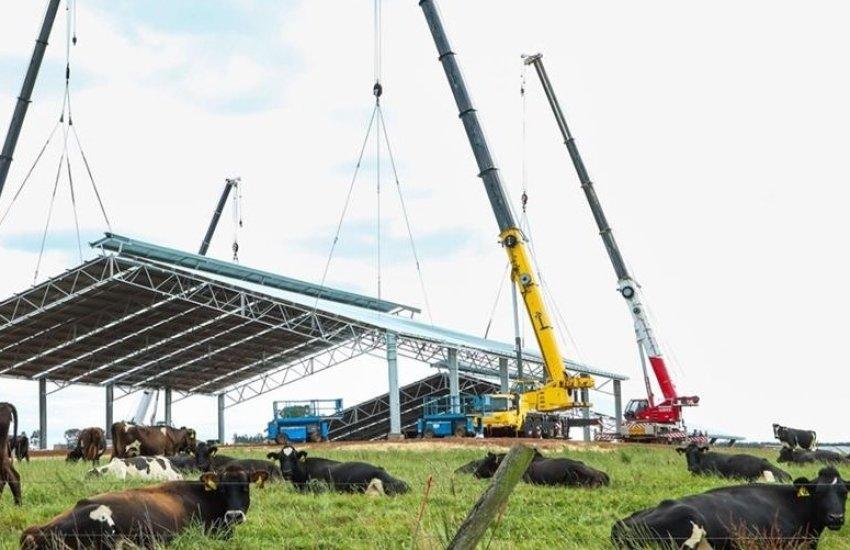 ДАР розпочинає прийом заявок на отримання часткової компенсації витрат на будівництво та реконструкцію ферм
