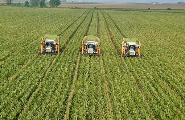 Українські сільськогосподарські асистенти можуть надавати допомогу на фермерських господарствах Польщі