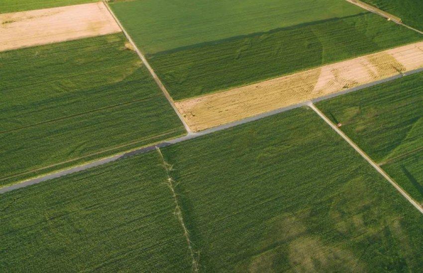 Торги проходили у Миколаївській, Харківській, Київській, Закарпатській, Кіровоградській та Хмельницькій областях