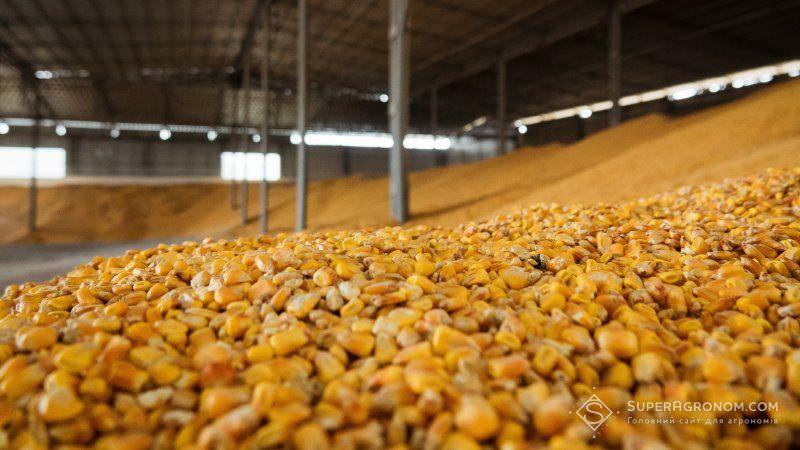 Найбільшими ринками збуту української кукурудзи торік стали Іспанія (5,2 млн т)