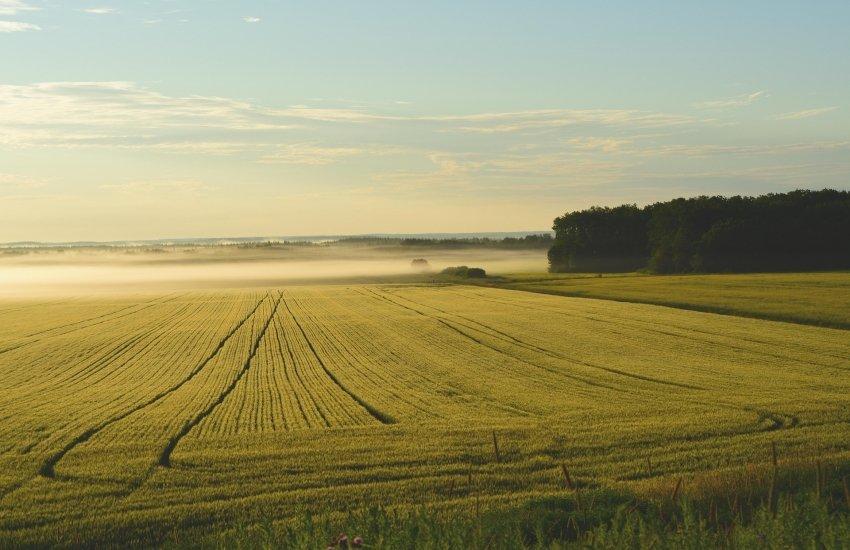 Через війну в Україні фактично призупинили проведення земельних інспекцій