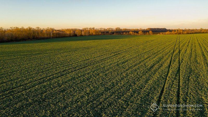 Річна плата за сервітут встановлюється у розмірі 12% нормативної грошової оцінки земельної ділянки 