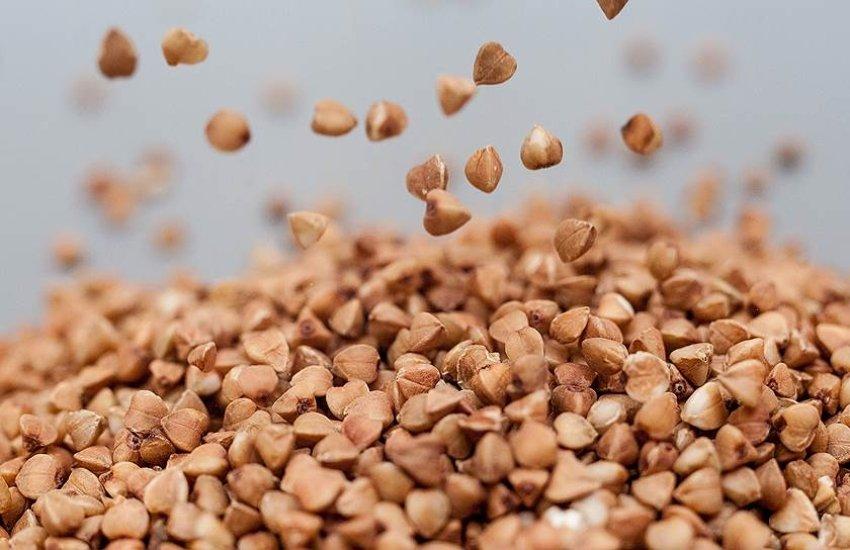 По гречці вже в цьому році зібрано на 15% менше