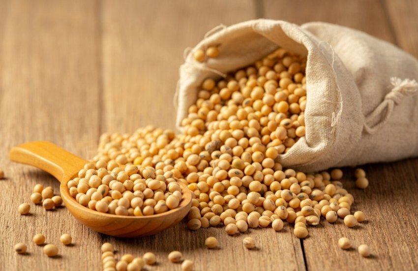 Законом запроваджено експортне мито на ці олійні культури