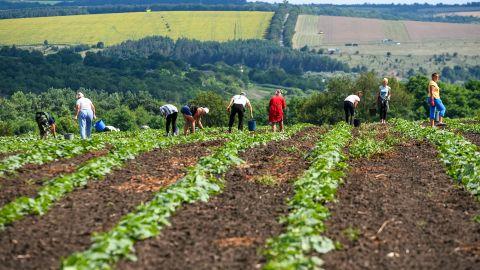 Проектом закону пропонується внести зміни до Податкового кодексу України