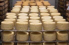 За останні місяці європейські ціни на основні види сирів зменшилися приблизно на чверть