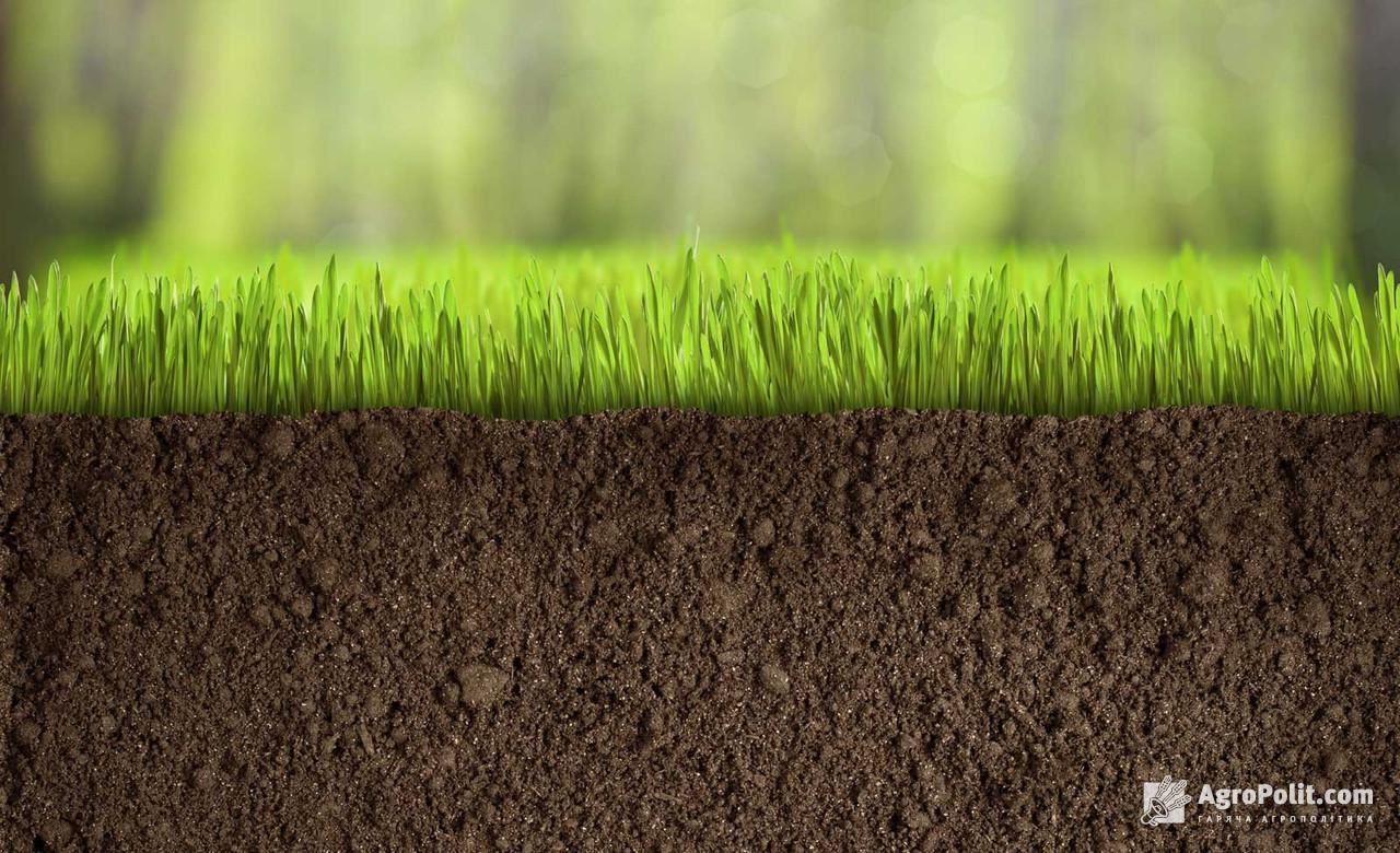 Ціна землі за 1 га збільшуватиметься в рік в середньому на 10%