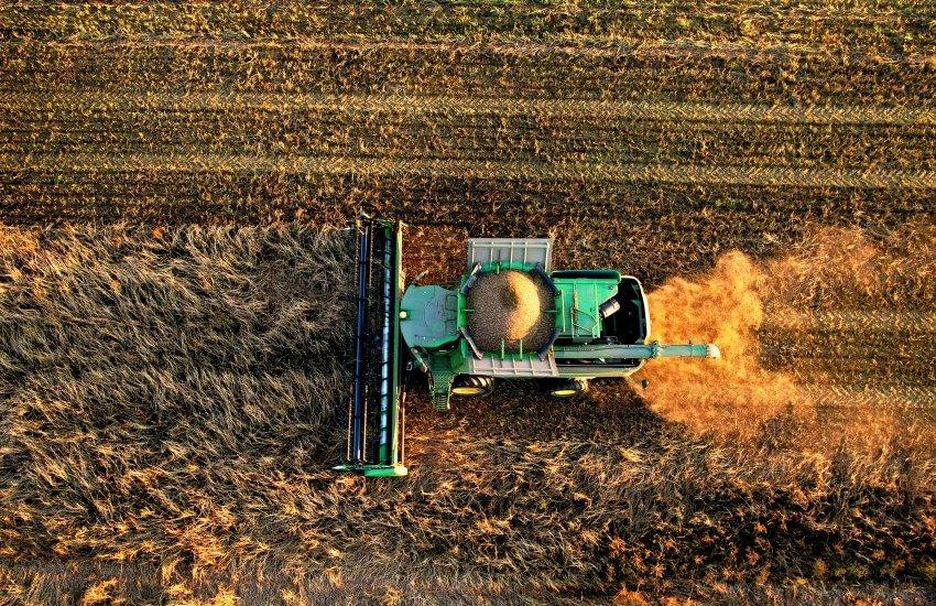 Інших зернових і зернобобових зібрано 896,5 тис. тонн на площі 327,6 тис. га