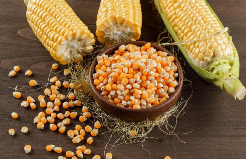 Станом на 21 листопада ціни в більшості регіонів знизилися на 100 – 200 грн/т