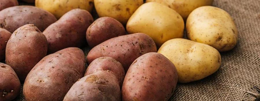 Експортна виручка за цей період склала 151,99 млн злотих