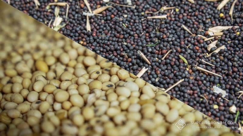 Документ зареєстровали у Верховній Раді України 17 листопада 2025 року