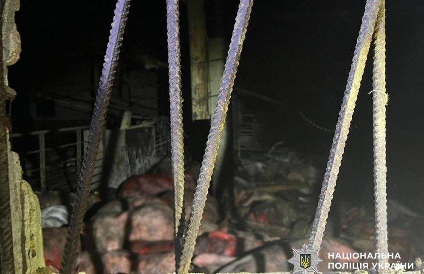 Чаус повідомив, що дрони вдарили по сільгосппідприємств