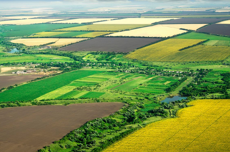 Зростання надходжень пояснюється підвищенням ставок місцевими радами