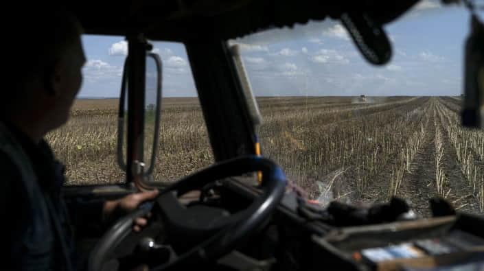 Землі сільськогосподарського призначення зазнали значних руйнувань