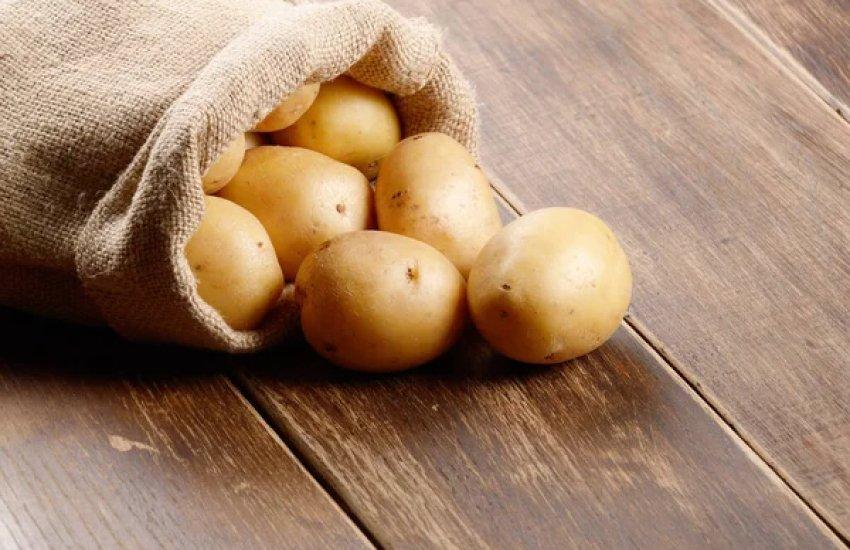 Експерт навів ціни як ключове підтвердження значного зростання виробництва