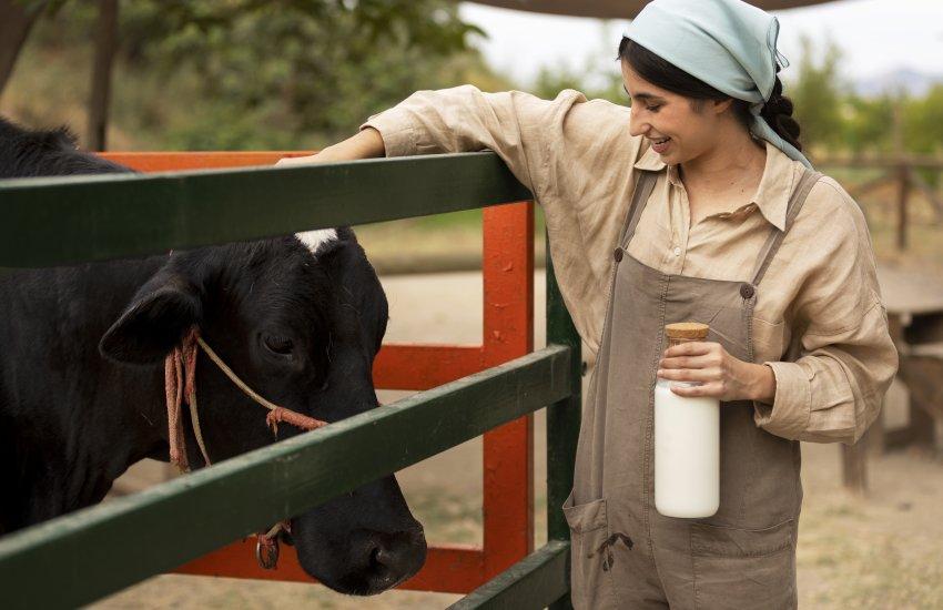 Промисловий сектор демонструє стійкість та компенсує втрату молока