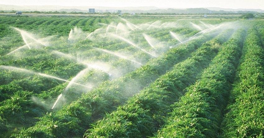 Основна мета законопроєкту – впровадження ефективних механізмів для захисту українських експортерів