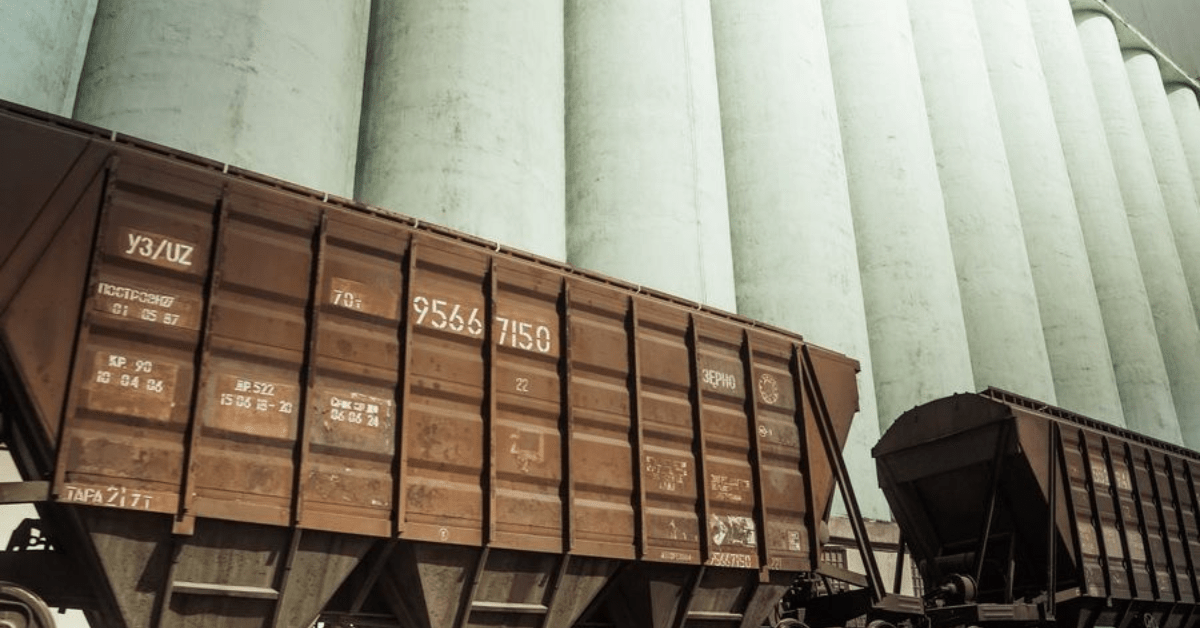 За 11 місяців 2025 року загалом перевезено 26 млн 445 тис. т зернових