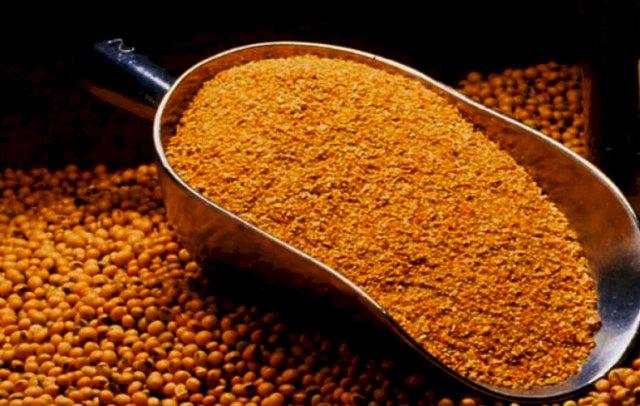 Основним напрямком експорту соєвого шроту був Євросоюз