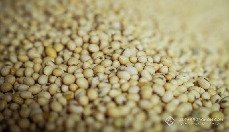 На світовому ринку переважали фактори, що спричиняли тиск на ціни