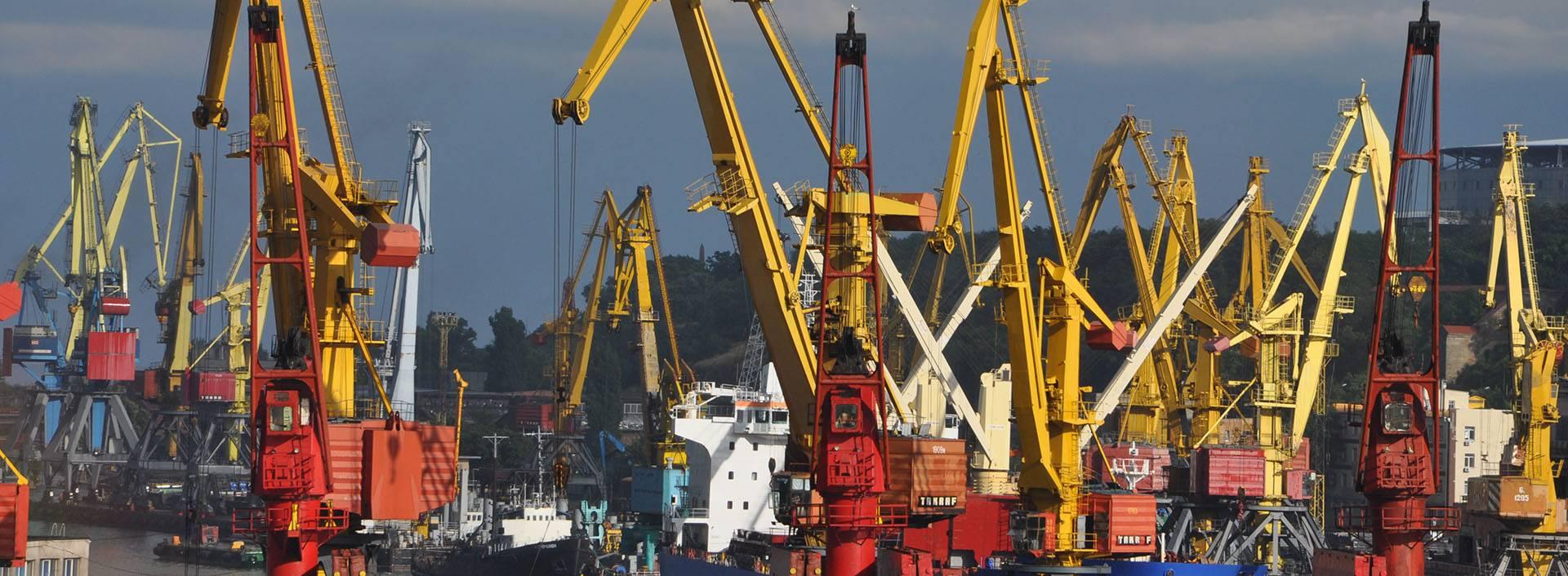 Україна є великим світовим виробником та експортером пшениці