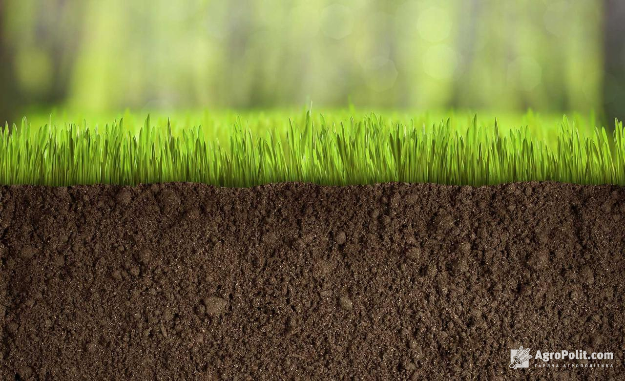 Ринок землі України сьогодні стикається із рядом судових справ про боротьбу за право безоплатної приватизації землі