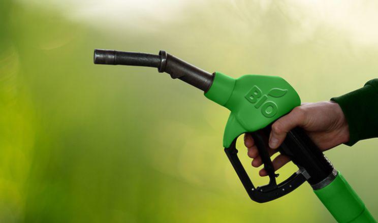 Україна потребує три мільйони тонн кукурузи для виробництва біоетанолу