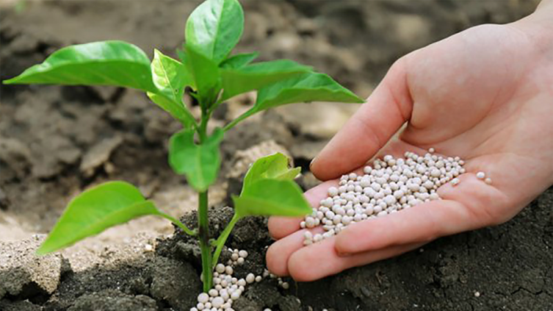 У 2026 році аграрії планують внести стільки ж мінеральних добрив, як і торік – 1,8-1,9 млн тонн