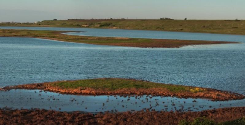 Україна втратила доступ до понад 70% своїх традиційних рибопромислових дільниць