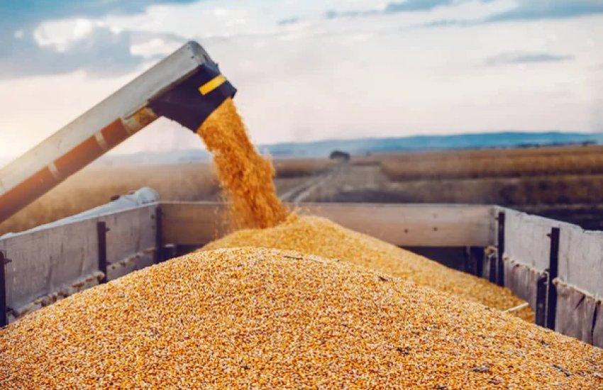 У січні 2026 року (станом на 16.01) було відвантажено близько 1,39 млн тонн зерна