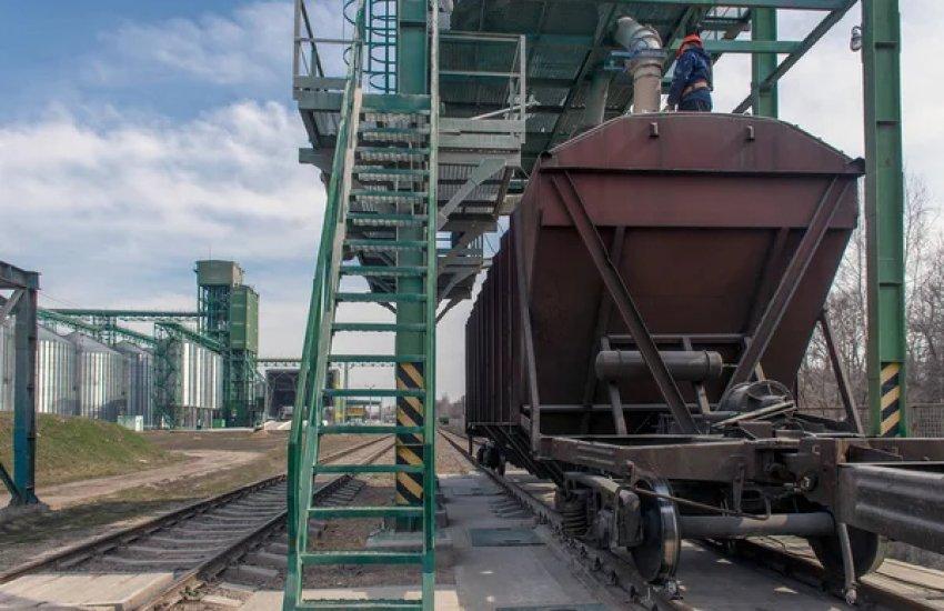 За перші 13 днів січня обсяг перевезень макухи і шротів в експортному сполученні становив 114,4 тис. т.