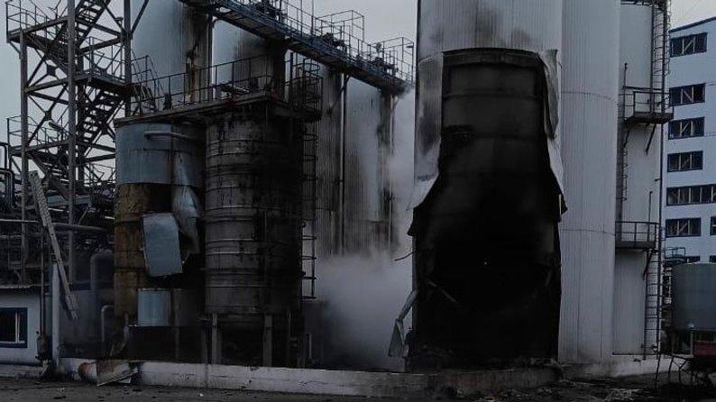 У 2025 році через порти Одеської області експортували 39,8 млн т українських аграрних товарів