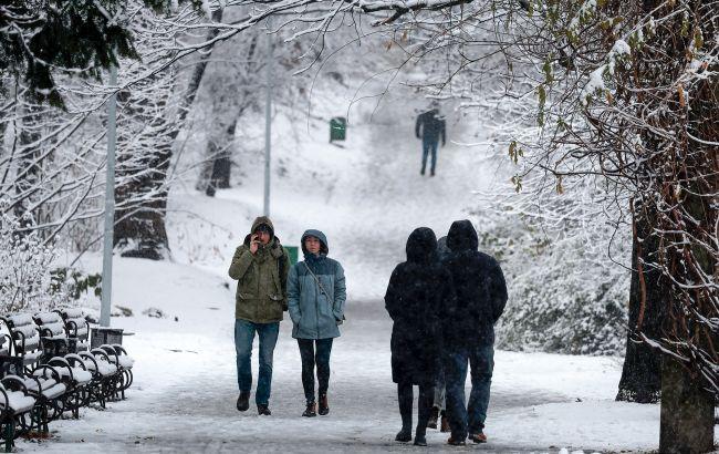 Грудень був аномально теплим та посушливим для рослин