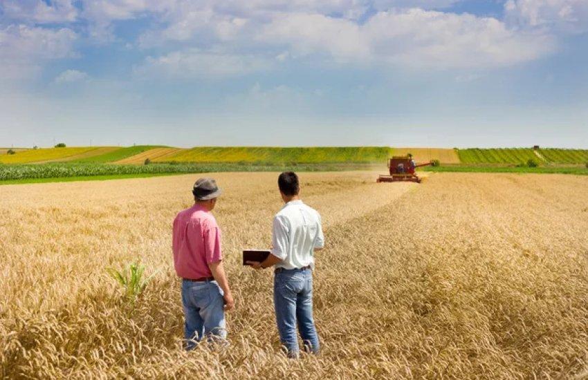 Користувачі можуть зберігати заявку у статусі «Чернетка» 