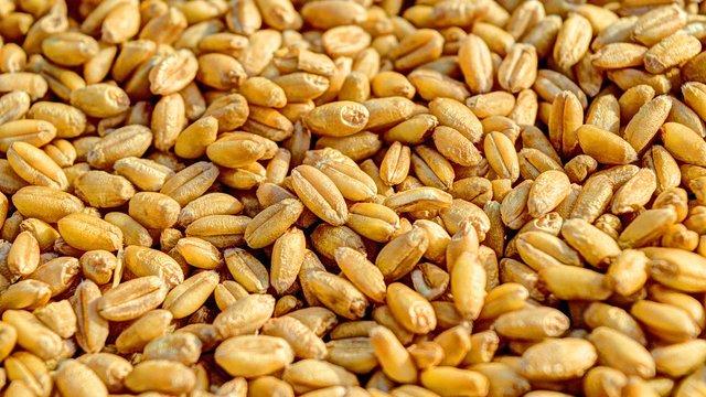 Європейська Комісія чує аргументи Польщі та її однодумців