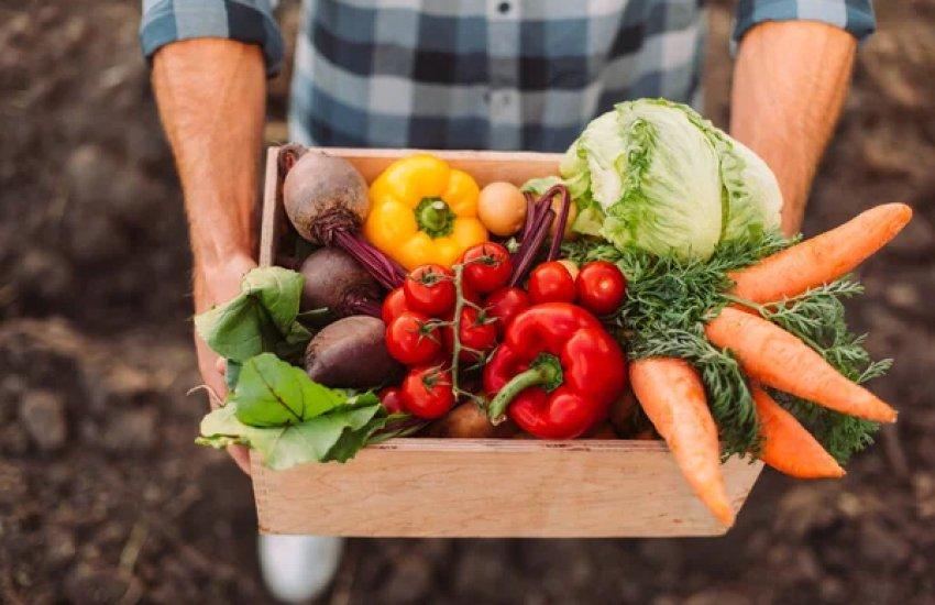 Закупівля закордонної цибулі у 2025 році обійшлася Україні у $22,66 млн