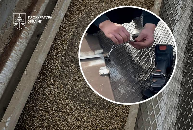 Керівник компанії не відобразив у фінансовій звітності отриману агропродукцію