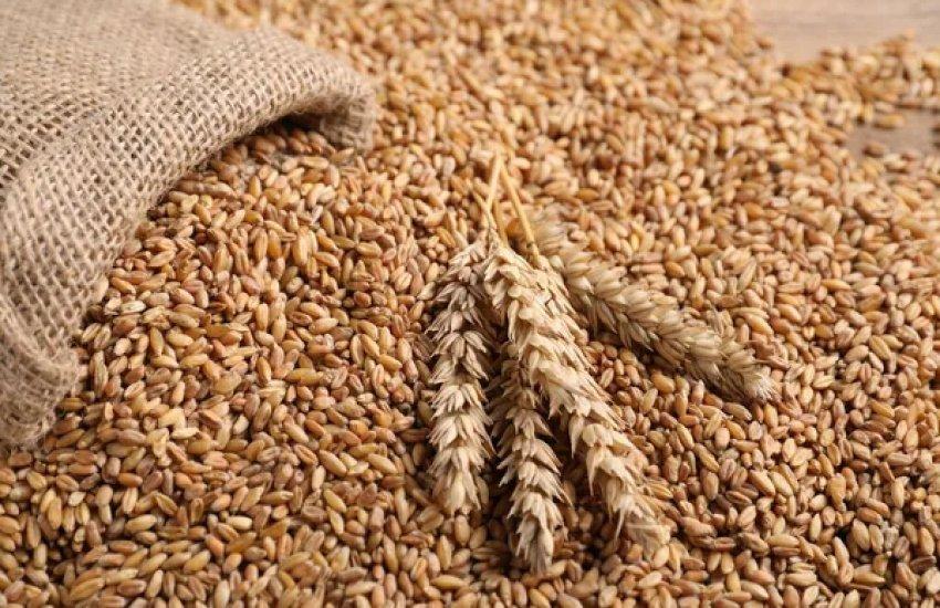 Трійка лідерів експорту за рік не змінилася